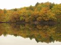 Steinbachtalsperre im Herbst