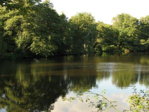 Sofortmaßnahme am Unfallort Vorstau der Steinbachtalsperre